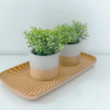 Apartman Antiga Adega *