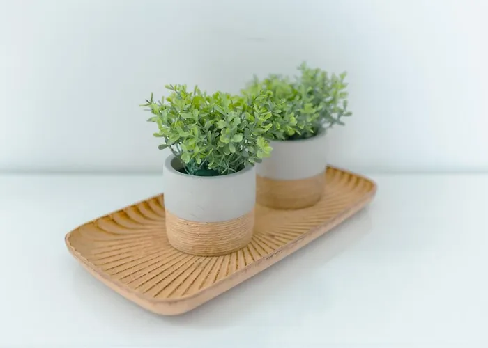 アパート Antiga Adega *